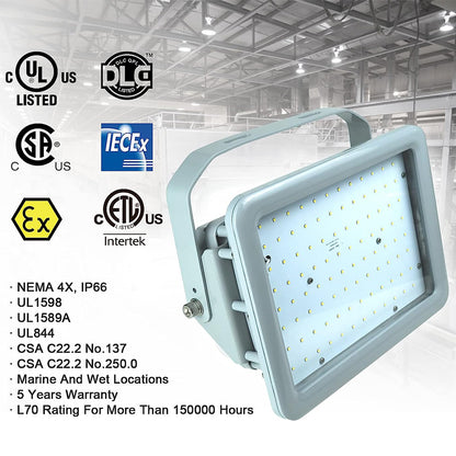 ex proof led flood light