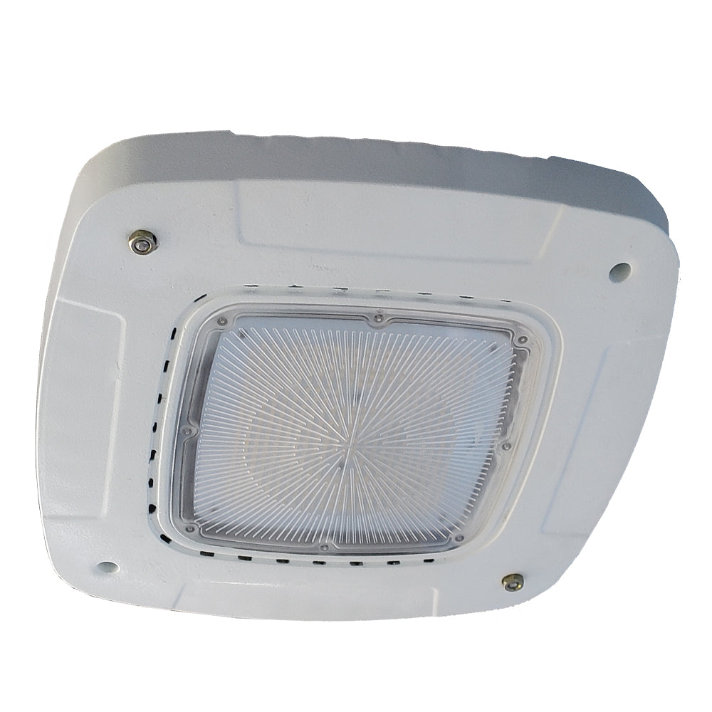 Discover Premium Exterior Canopy Lighting | Choierlight