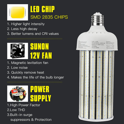 led bulbs