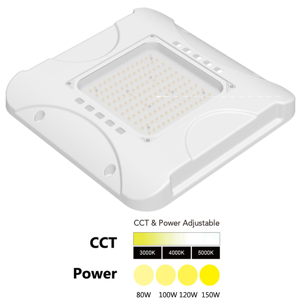 led canopy light